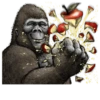 Gorilla Gorilla 21