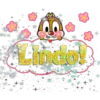 Chip y dale ardillas 24