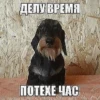 EDBXqVH_by_achestickbot 14