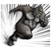 Gorilla gorilla 24