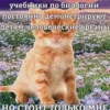 учебники по биологии постоянно демонстрируют детям человеческие органы НО СТОИТ ТОЛЬКО МНЕ
