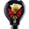 💞1🇵🇪Clásica 18