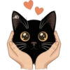 Gatitos❥☯︎ͫ7🇲🇽Clásica 20 👐