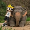 Elefante Chubby 🐘 1 24