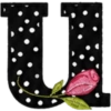 ALFABETO CON ROSA🌹⚫️⚪️ 27