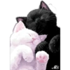 Gatitos❥☯︎ͫ7🇲🇽Clásica 19 🤗