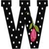 ALFABETO CON ROSA🌹⚫️⚪️ 5