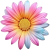 FLORES 🌹🌻💐 25