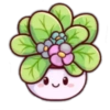Flowers💐❥☯︎ͫ3🇲🇽Clásica 16