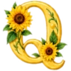 ALFABETO FLORAL 22