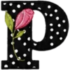 ALFABETO CON ROSA🌹⚫️⚪️ 29