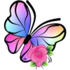 Butterfly🦋❥☯︎ͫ1🇲🇽Clásica 9