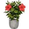 Flowers💐❥☯︎ͫ6🇲🇽Clásica 25