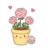 Flowers💐❥☯︎ͫ4🇲🇽Clásica 29