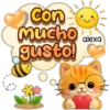 Riki ha llegado! ❤️🐱☀️ 23
