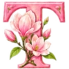 ALFABETO FLORAL 24