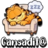 Garfield comunica!✨😽 17