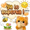 Riki ha llegado! ❤️🐱☀️ 9
