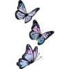 Butterfly🦋❥☯︎ͫ1🇲🇽Clásica 26