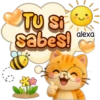 Riki ha llegado! ❤️🐱☀️ 16