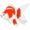 PECES 🐟🐠🦀🐙🐬🐳 14 🐟