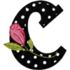 ALFABETO CON ROSA🌹⚫️⚪️ 13