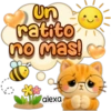 Riki ha llegado! ❤️🐱☀️ 6