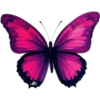Butterfly🦋❥☯︎ͫ1🇲🇽Clásica 10