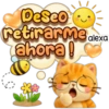 Riki ha llegado! ❤️🐱☀️ 19