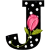 ALFABETO CON ROSA🌹⚫️⚪️ 22
