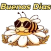 Buenos días🌞❥☯︎ͫ1🇲🇽Clásica 24