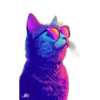 Gatitos❥☯︎ͫ8🇲🇽Clásica 25 😎