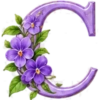 ALFABETO FLORAL 13
