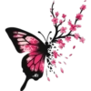Butterfly🦋❥☯︎ͫ1🇲🇽Clásica 18