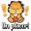 Garfield comunica!✨😽 16