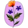 Flowers💐❥☯︎ͫ6🇲🇽Clásica 9