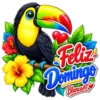 PAJAROS CON TEXTO 💬 28