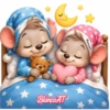 PAREJA DE RATONCITOS❤️🐀 24