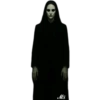 Ms