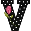 ALFABETO CON ROSA🌹⚫️⚪️ 6