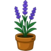 Flowers💐❥☯︎ͫ4🇲🇽Clásica 5
