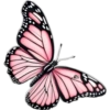 Butterfly🦋❥☯︎ͫ1🇲🇽Clásica 7