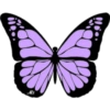 Butterfly🦋❥☯︎ͫ1🇲🇽Clásica 23