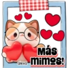 Mensajito peludo 🐱🌷♥️ 14