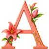 ALFABETO FLORAL 17