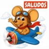 RATONCITO 24