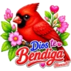 PAJAROS CON TEXTO 💬 17