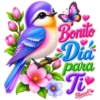 PAJAROS CON TEXTO 💬 23