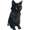 Gatitos❥☯︎ͫ8🇲🇽Clásica 13 🖤