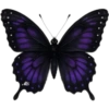 Butterfly🦋❥☯︎ͫ1🇲🇽Clásica 5